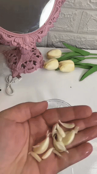 Electric Vegetable Cutter